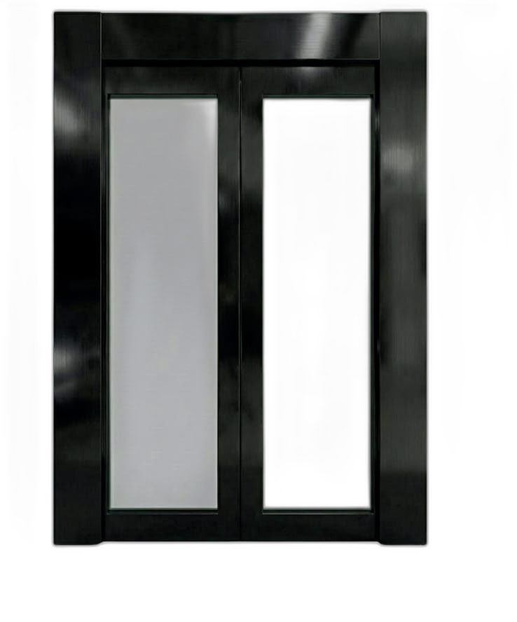 Black Hairline SS Glass Door